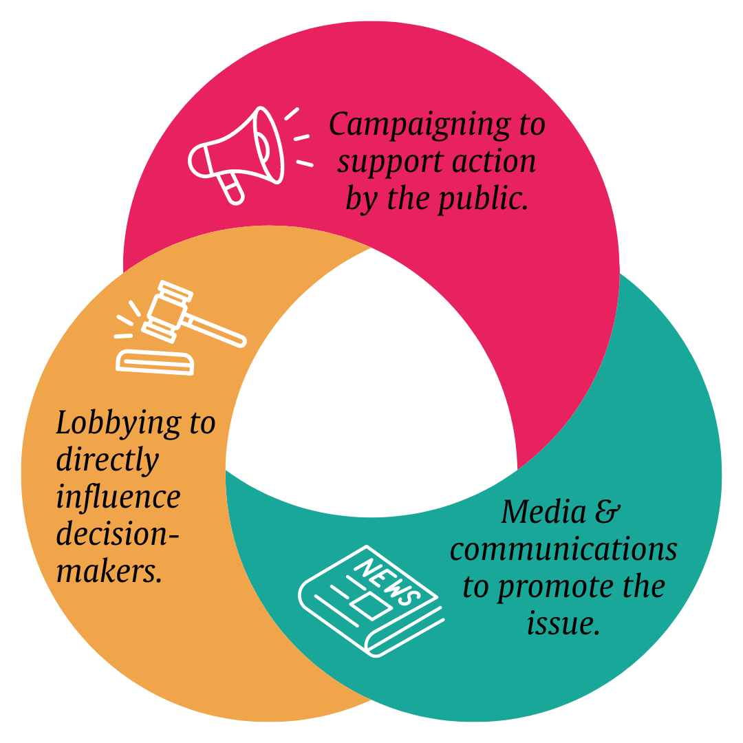 Lobbying to directly influence decision-makers; Campaigning to support action by the public; media and communications to promote the issue.