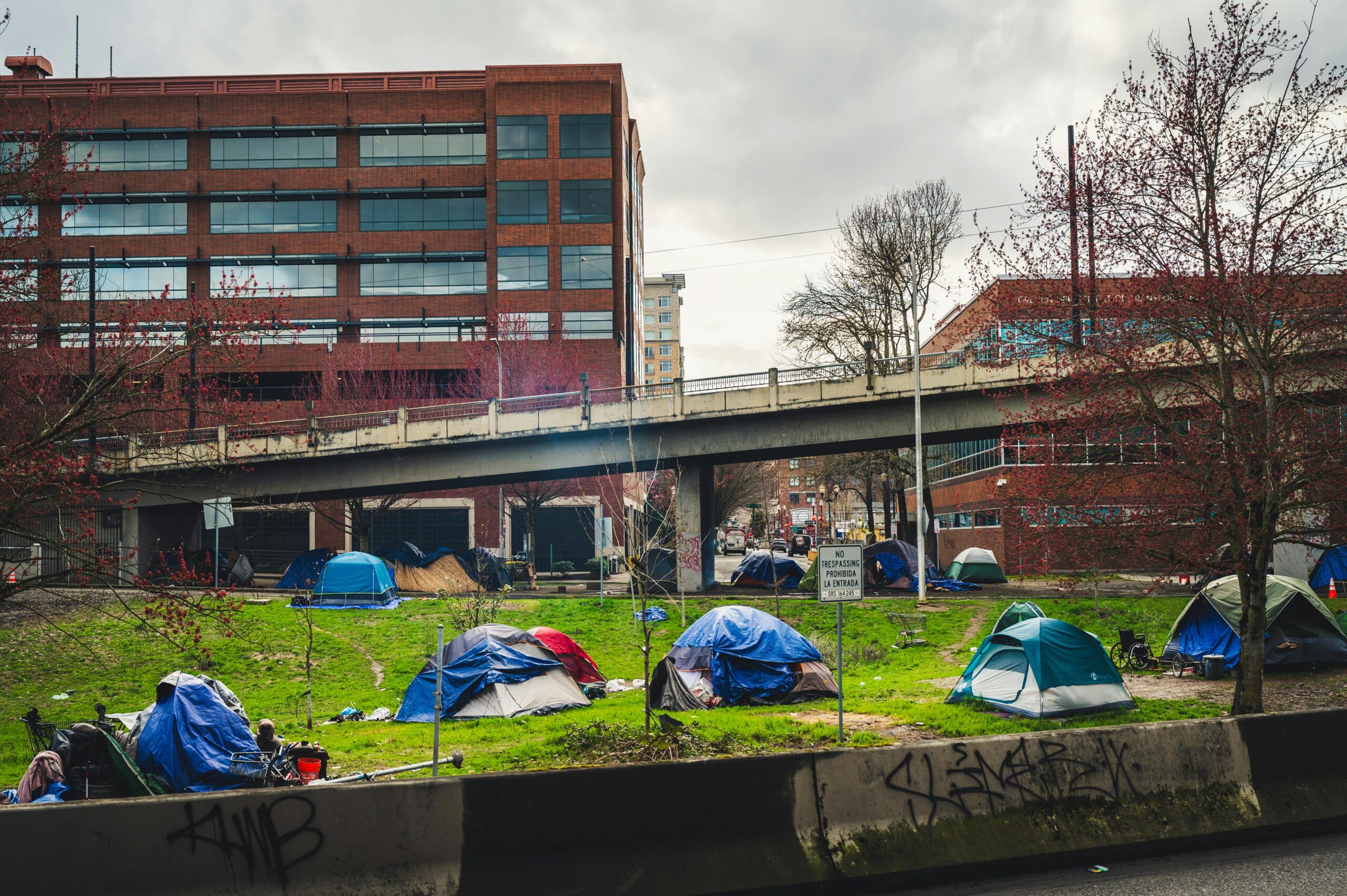 Finding a Path Forward: BC's Homelessness Crisis