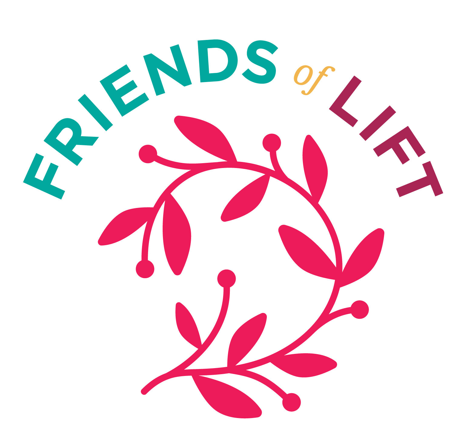 Friends of Lift